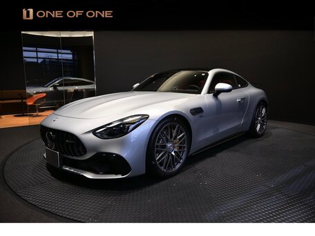 2025 Mercedes-Benz AMG GT 43 II, серебристый, 14000000 рублей, вид 1