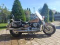 2005 Yamaha XVS650 Drag Star, золотистый, 430000 рублей - вид 6