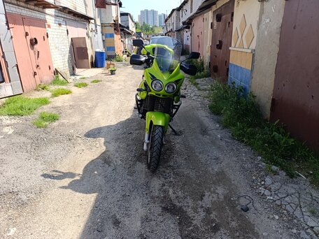 2001 Triumph Tiger 955i, зелёный, 410000 рублей, вид 5