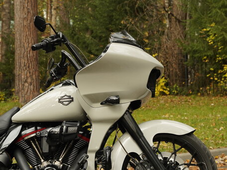 2020 Harley-Davidson CVO Road Glide, белый, 4750000 рублей, вид 2