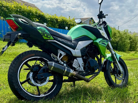 2020 Racer RC300B-F Panther PRO, зелёный, 109000 рублей, вид 1
