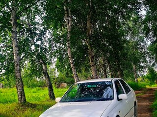 1999 Toyota Vista V (V50), белый, 500000 рублей, вид 4