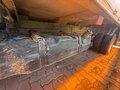 2019 ГАЗ ГАЗель (3302), белый, 1600000 рублей - вид 11