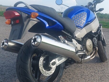 2000 Honda X11, синий, 525000 рублей, вид 3