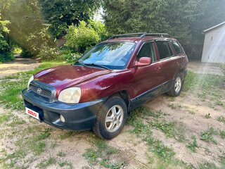2002 Hyundai Santa Fe I, красный, 600000 рублей, вид 1