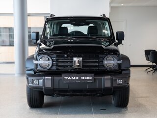 2026 Tank 300 I, чёрный, 4499000 рублей, вид 2
