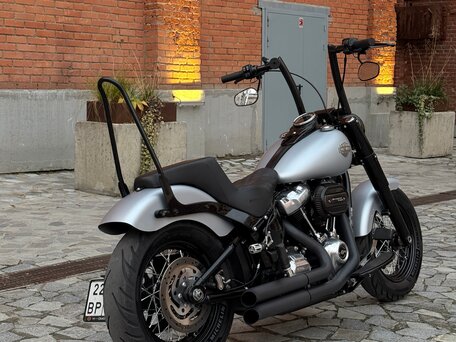 2020 Harley-Davidson Softail Slim, серебристый, 1700000 рублей, вид 3