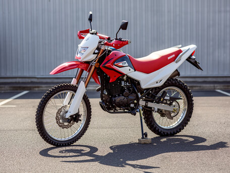2026 Irbis TTR 250, зелёный, 121500 рублей, вид 1