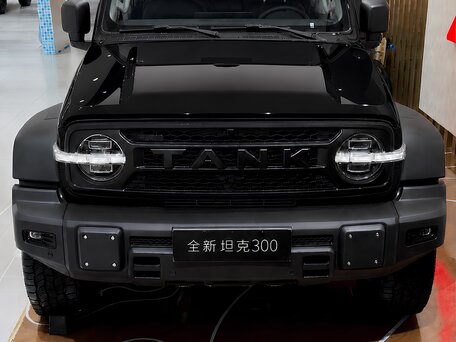 2026 Tank 300 L I Рестайлинг 2, чёрный, 6000000 рублей, вид 1