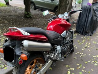 2006 Honda CB 900F Hornet, красный, 420000 рублей, вид 2