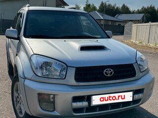 2002 Toyota RAV4 II (XA20), серый, 815000 рублей, вид 1