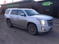 2019 Cadillac Escalade ESV IV, белый, 5595500 рублей - вид 1