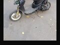 1992 Honda Dio, фиолетовый