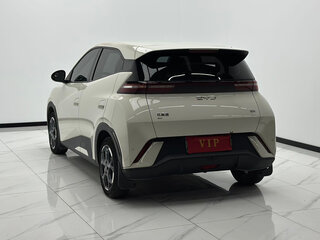 2024 BYD Seagull 38.88 kWh I, бежевый, 1010000 рублей, вид 5