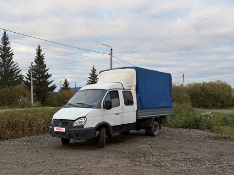 2006 ГАЗ ГАЗель (33023/330273) Фермер, белый, 800000 рублей, вид 5
