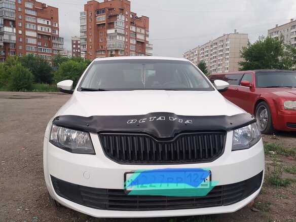 2014 Skoda Octavia III (A7), белый, 900000 рублей