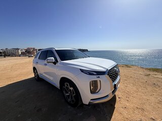 2020 Hyundai Palisade I, белый, 3990000 рублей, вид 1