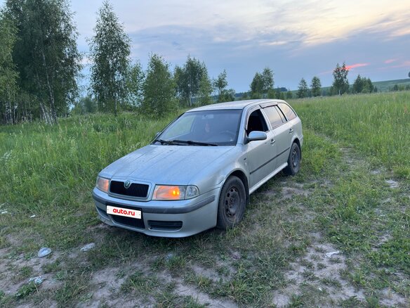 2002 Skoda Octavia I (A4) Рестайлинг, серебристый, 280000 рублей - вид 5