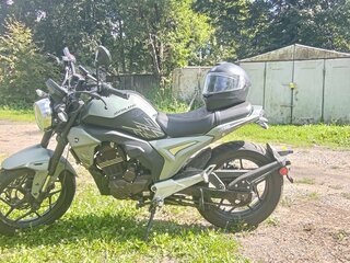 2024 Motoland XF300, серебристый, 325000 рублей, вид 5