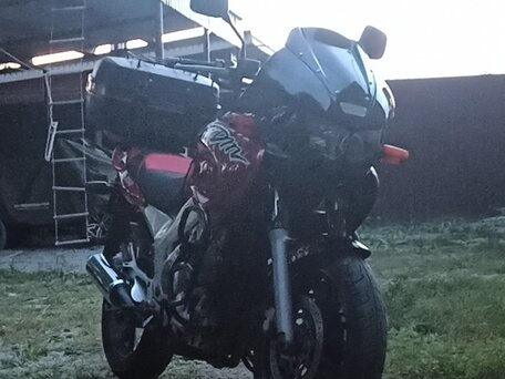 1998 Yamaha TDM850, красный, 390000 рублей, вид 3