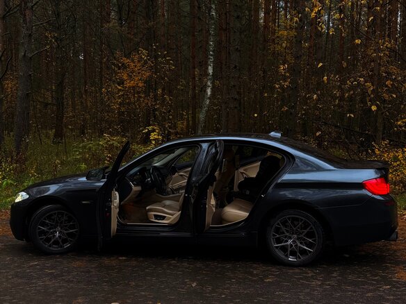 2011 BMW 5 серии 520d VI (F10/F11/F07), серый, 1820000 рублей - вид 9