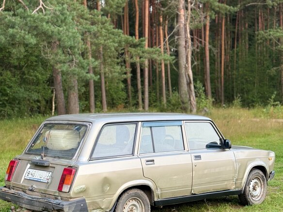 2011 Lada (ВАЗ) 2104, золотистый - вид 4