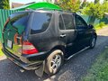 2001 Mercedes-Benz M-Класс 320 I (W163), чёрный, 800000 рублей - вид 3