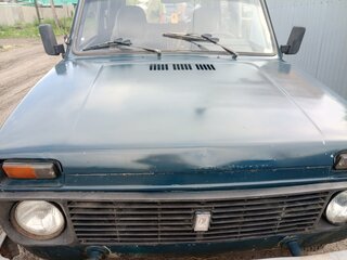 2002 Lada (ВАЗ) 2131 (4x4) I, зелёный, 165000 рублей, вид 1