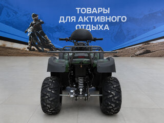 2026 Другие Мотовездеходы (другие), зелёный, 147400 рублей, вид 5