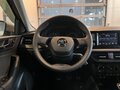 2021 Skoda Rapid II, серый - вид 10