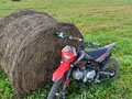 2024 Regulmoto Seven Pro, красный, 109999 рублей - вид 5