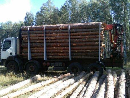 1999 Renault Kerax, белый, 1500000 рублей, вид 3