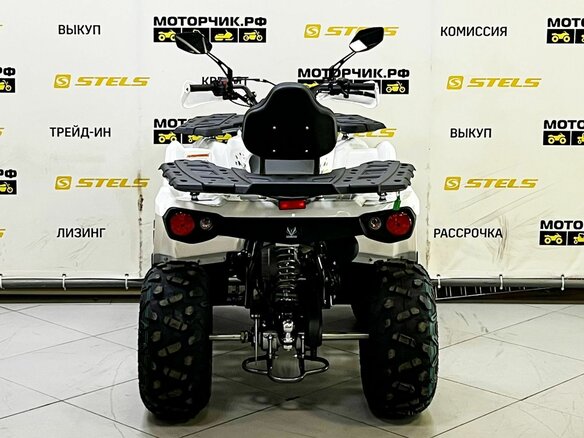 2025 Bison ATV200, чёрный - вид 6