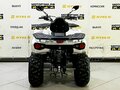 2025 Bison ATV200, чёрный - вид 6