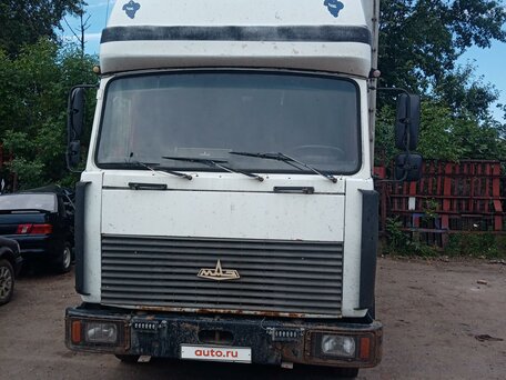 2006 МАЗ 4370, белый, 600000 рублей, вид 4