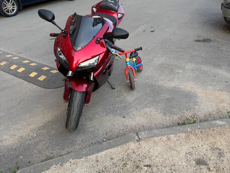 2004 Honda CBR 1000 RR/RA Fireblade, красный, 550000 рублей, вид 1