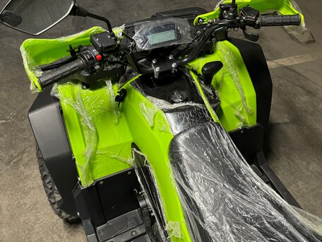 2025 Motoland Wild Track 200 X Pro, зелёный, 215000 рублей, вид 5