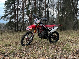 2024 Regulmoto CR-Z 300, красный, 220000 рублей, вид 1