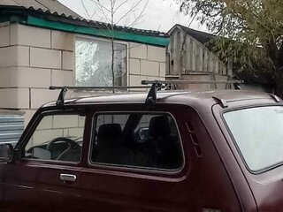 2005 Lada (ВАЗ) 2121 (4x4) I Рестайлинг, пурпурный, 370000 рублей, вид 3