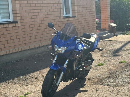 2001 Honda CB 600F Hornet, синий, 375000 рублей, вид 2