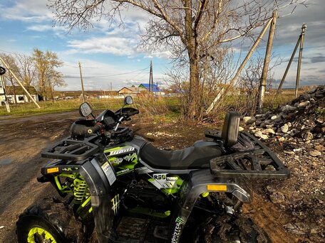 2023 Motoland Wild Track 200, зелёный, 145000 рублей, вид 2