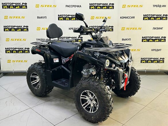 2025 Bison Hammer 250 PRO, чёрный - вид 6