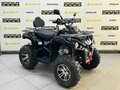2025 Bison Hammer 250 PRO, чёрный - вид 6