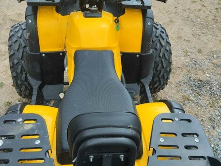 2024 Tiger Max Grade 300, жёлтый, 260000 рублей, вид 2