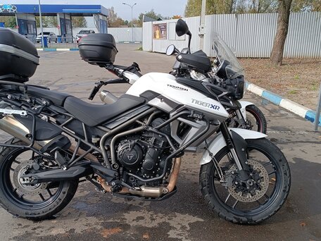 2016 Triumph Tiger 800, белый, 720000 рублей, вид 5