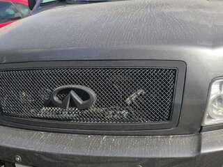 2007 Infiniti QX56 I Рестайлинг, серый, 1990000 рублей, вид 5