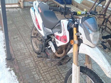 2014 Bars YQ250GY-18V, белый, 80000 рублей, вид 1