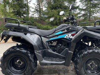 2020 Другие ATV (другие), синий, 210000 рублей, вид 2
