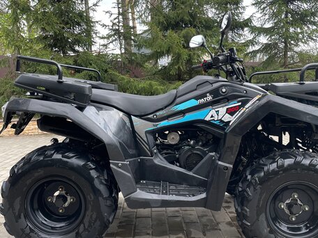2020 Другие ATV (другие), синий, 210000 рублей, вид 2