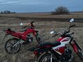 2024 Racer Stells, красный, 50000 рублей - вид 2